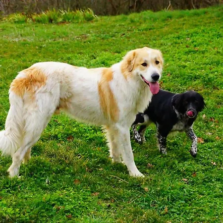 Bauernhof Terres De Barrejat Cazals-des-Bayles