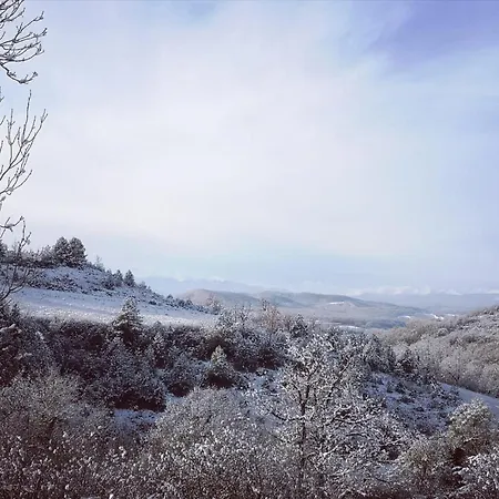 Terres De Barrejat *