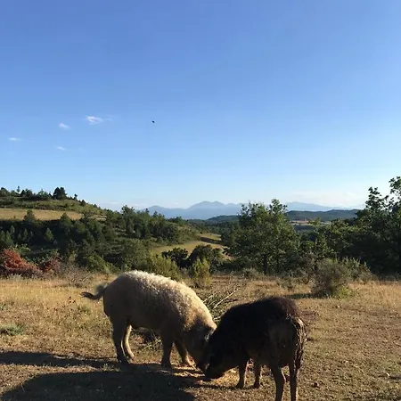 Terres De Barrejat Bauernhof