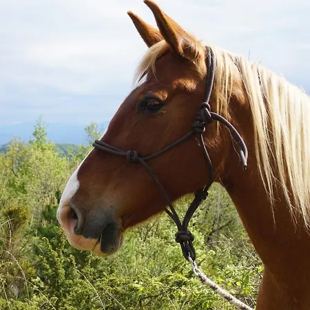Bauernhof Terres De Barrejat