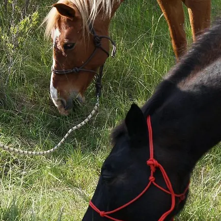 Terres De Barrejat * Cazals-des-Bayles