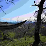 Terres De Barréjat * Cazals-des-Bayles