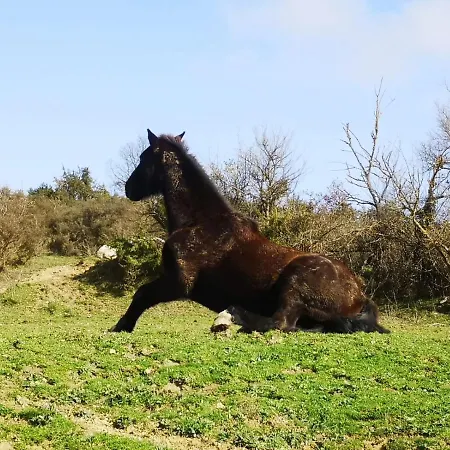 Terres De Barrejat Lantgård