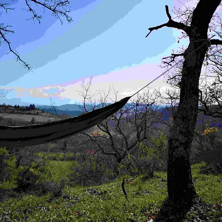 Terres De Barrejat * Cazals-des-Bayles