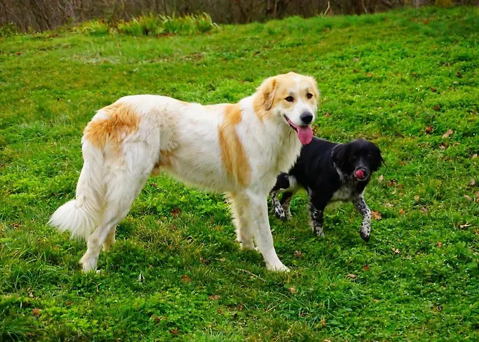 Çiftlik konaklama Terres De Barrejat Cazals-des-Bayles