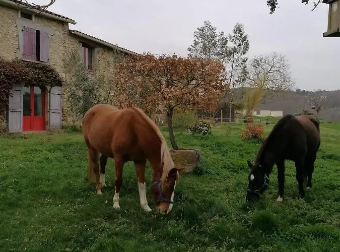 Çiftlik konaklama Terres De Barrejat *